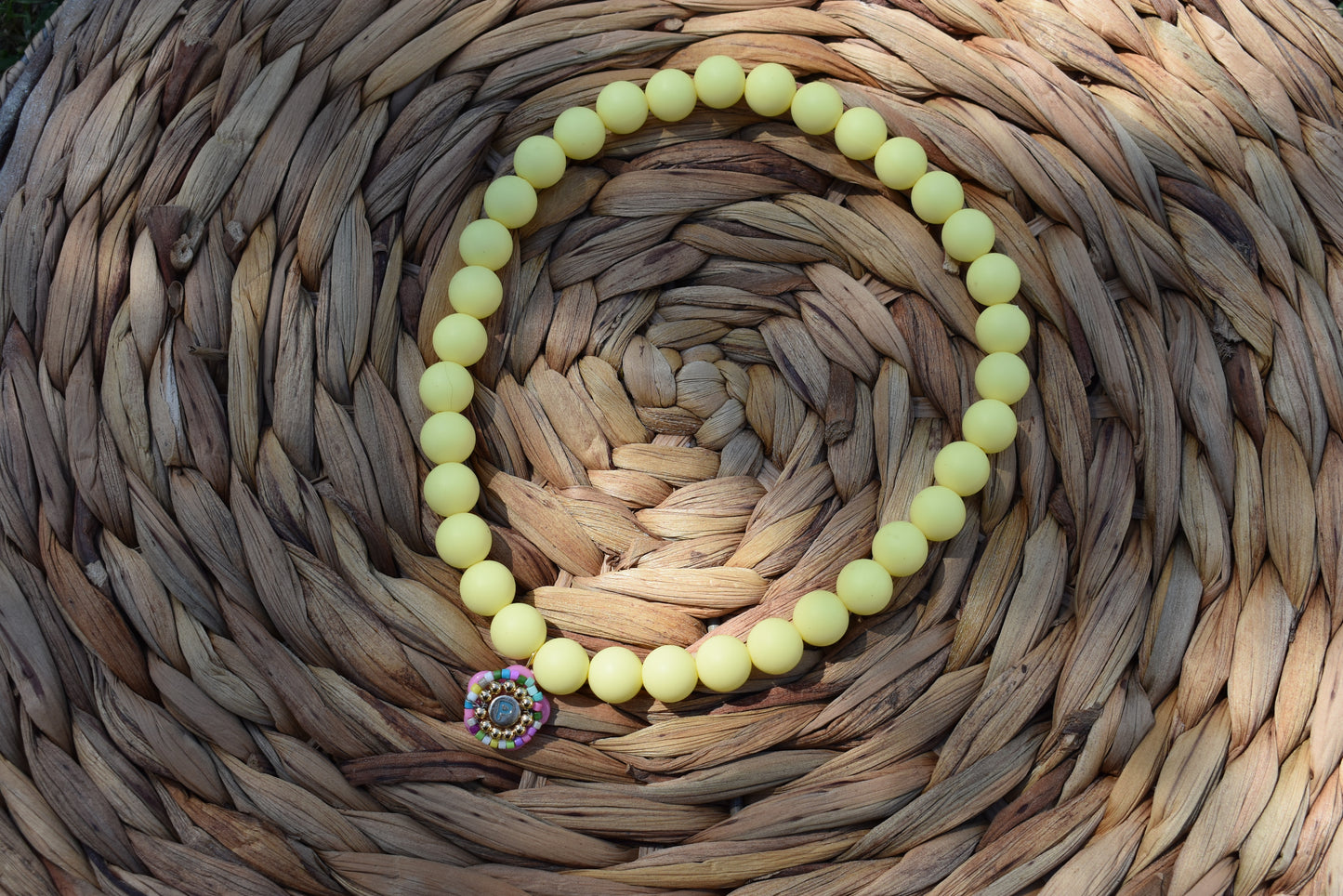No.2 Pet Necklace
