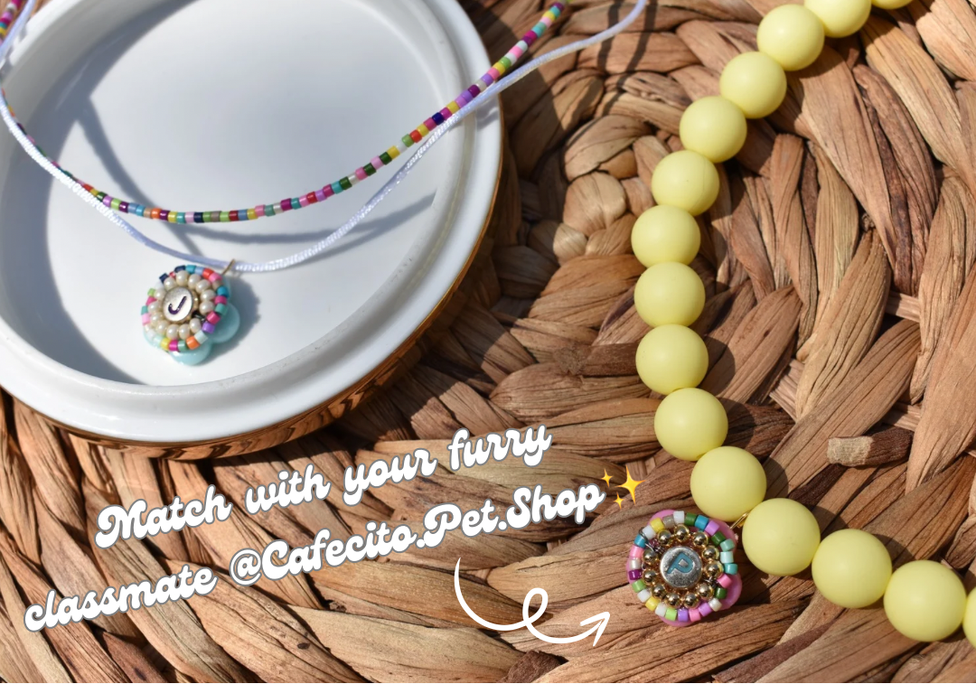 Nerds - Simple Colorful Stacking Necklace
