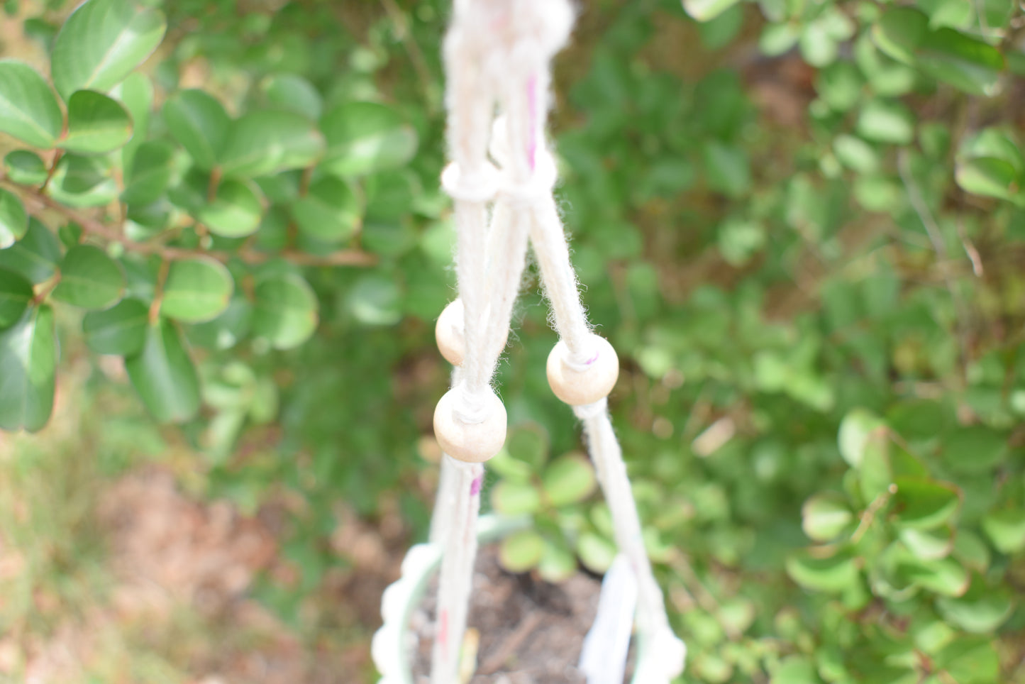 Bluebell - Crochet Planter