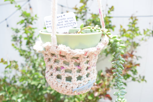 Bluebell - Crochet Planter