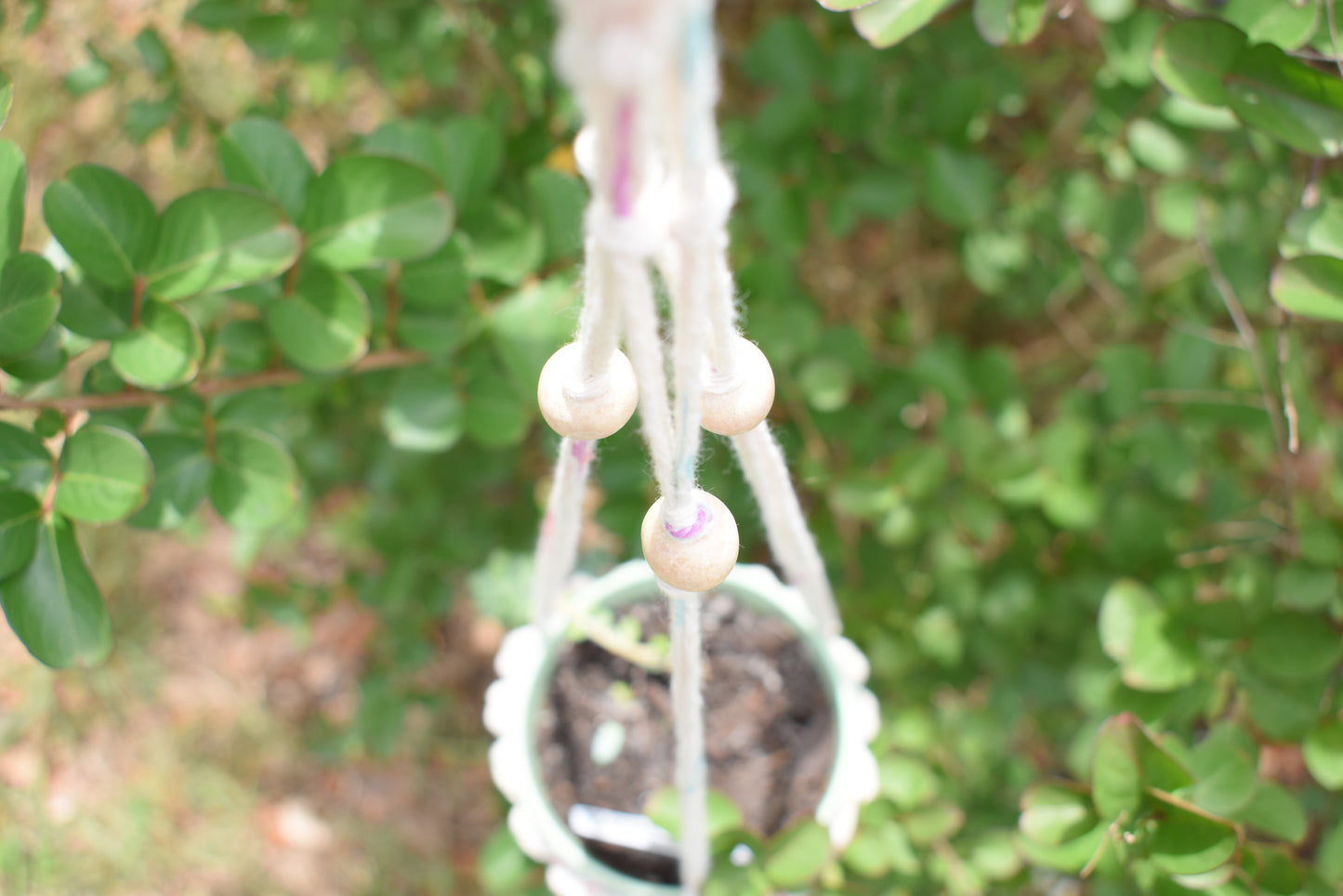 Bluebell - Crochet Planter